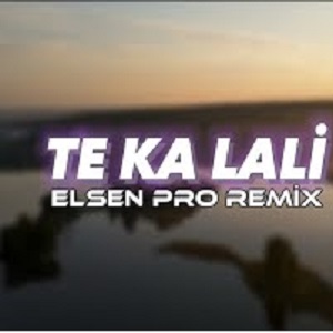 دانلود آهنگ جدید الشن پرو بنام ته کا لالی